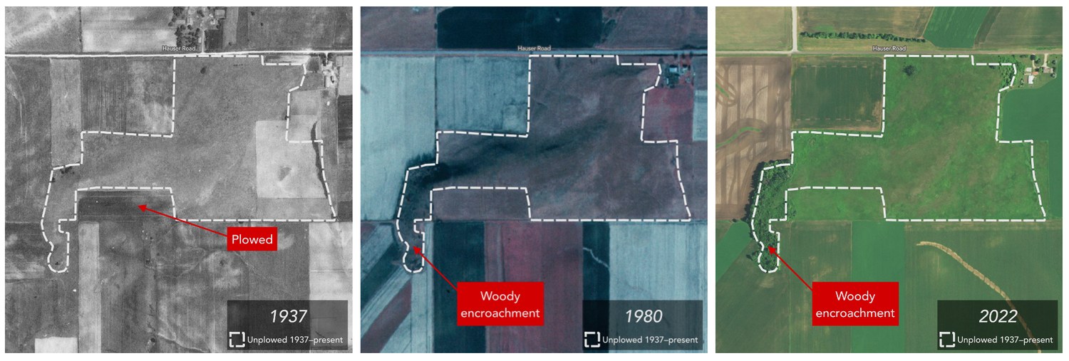 Aerial photographs of the Hauser Road prairie in 1937, 1980, and 2022 with a dashed boundary marking unplowed ground